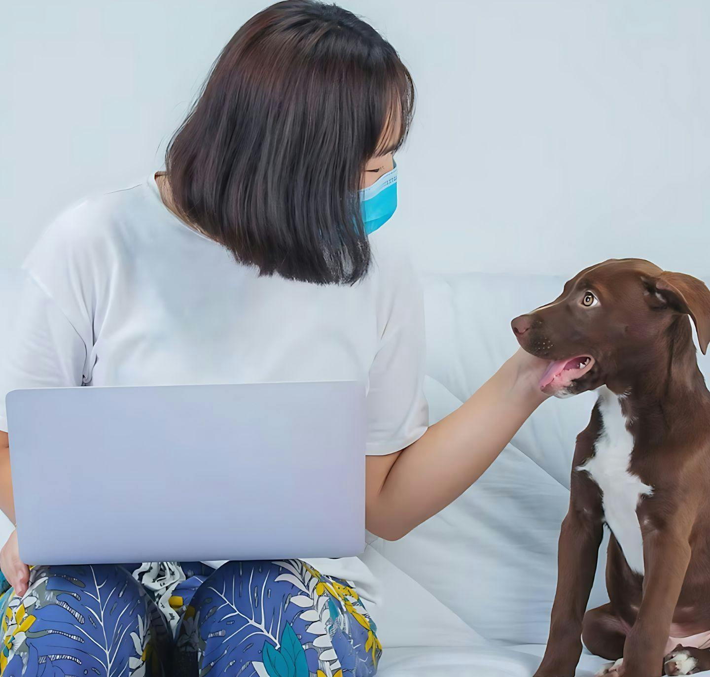 online consultation with veterinary doctor