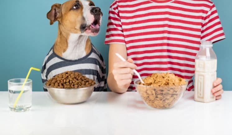 Nutrition & Diet Plans