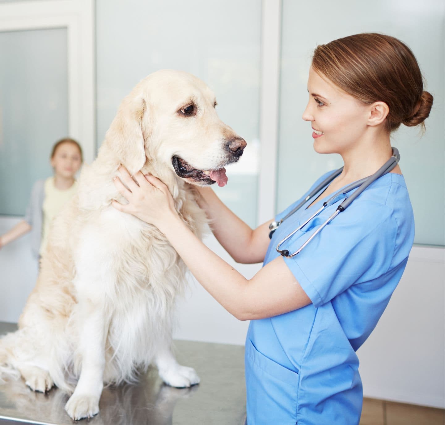 Relief Veterinarian Services