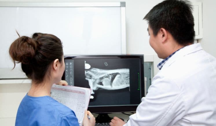 Complex Diagnosis
