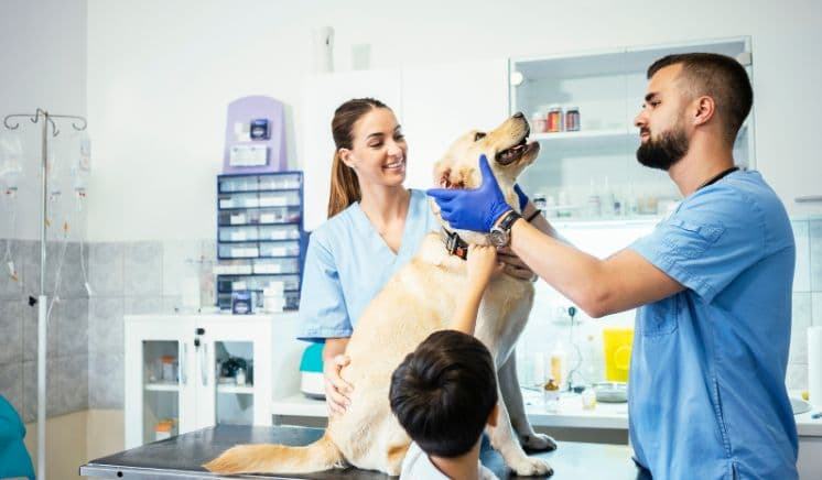 Treatment Options