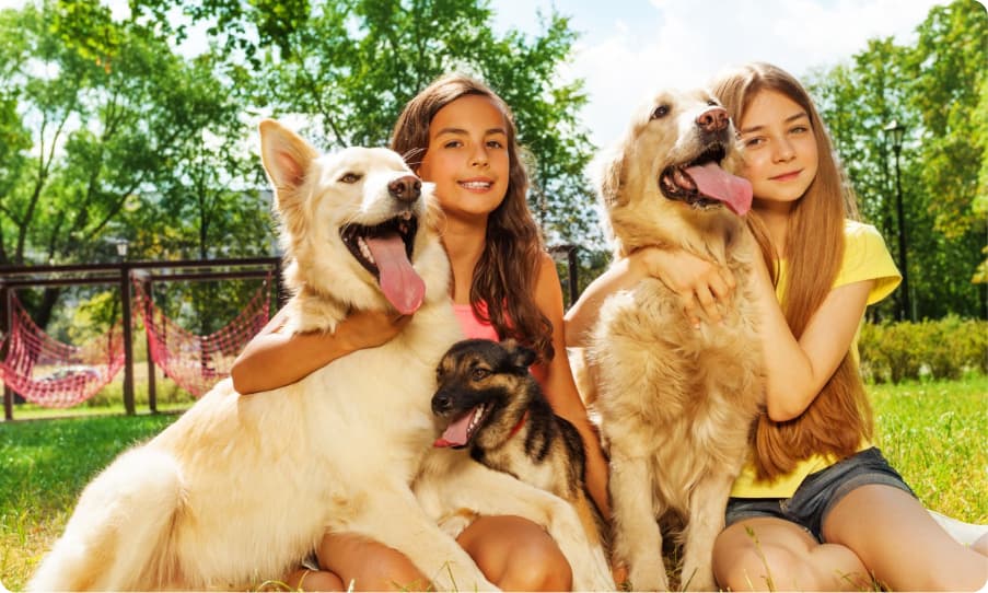 AI-powered tool for pet healthcare