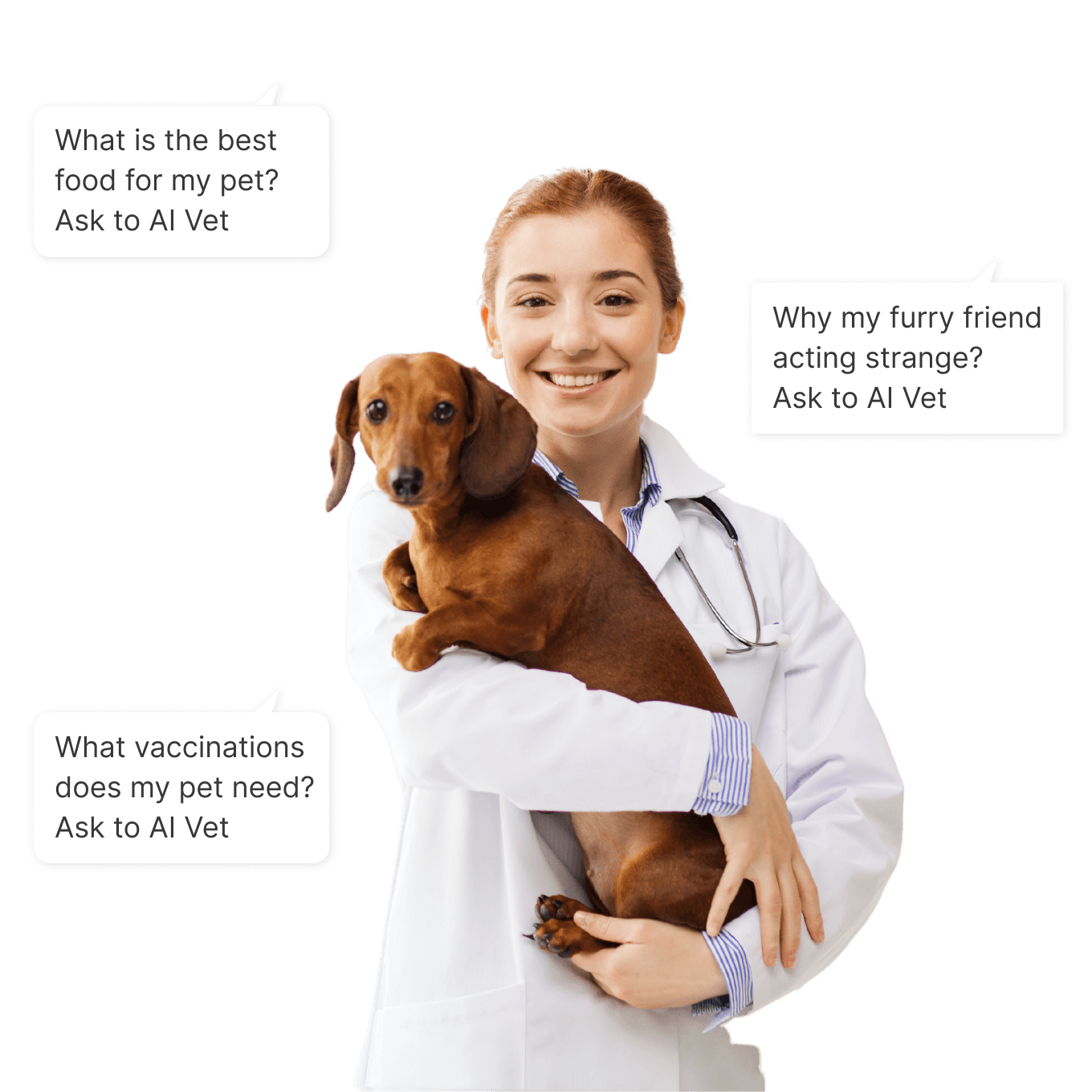 AI-powered tool for pet healthcare