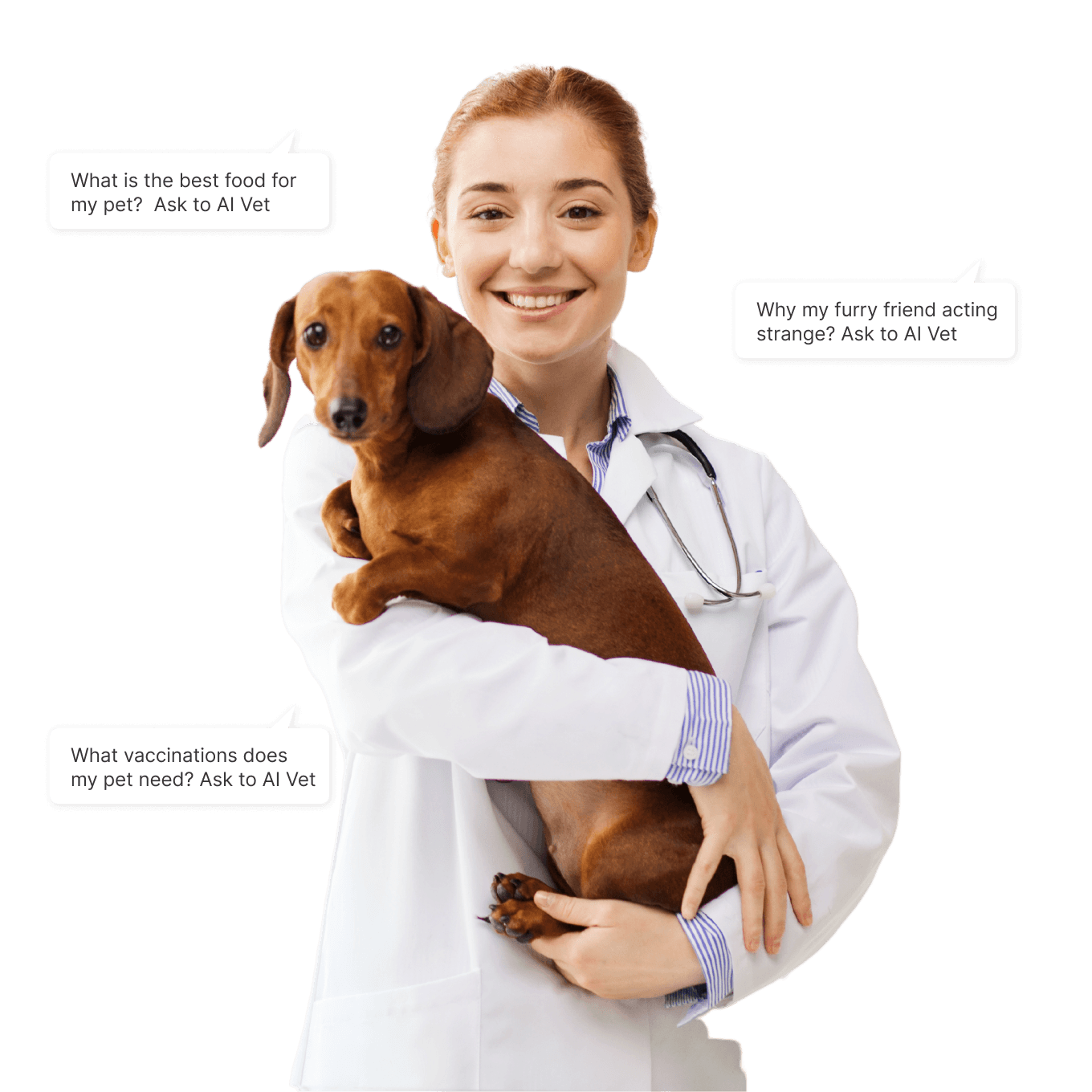 AI-powered tool for pet healthcare