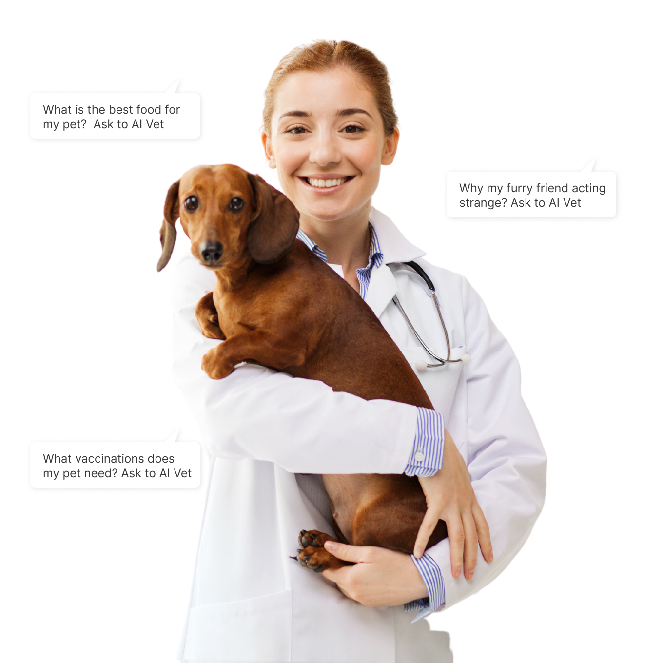 AI-powered tool for pet healthcare